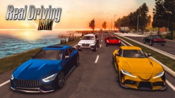 Screenshot 5 of Real Driving Sim Hack