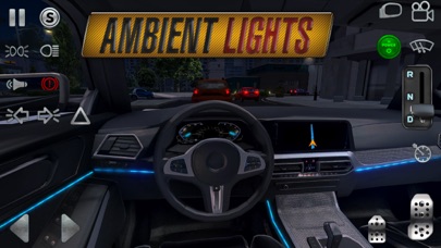 Real Driving Sim Hack screenshot 4
