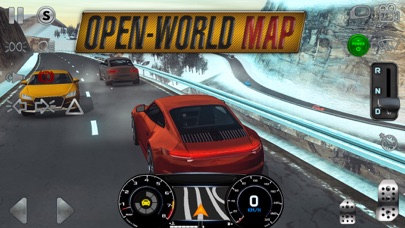 Real Driving Sim Hack screenshot 3