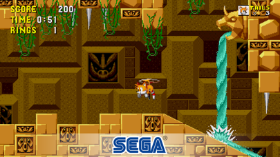 Sonic The Hedgehog Classic Hack screenshot 2