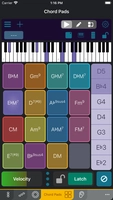 Screenshot 4 of Tonality: Music Theory