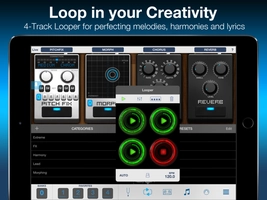 Screenshot 3 of VocaLive for iPad