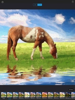 Screenshot 4 of Watercolorizer-photo artist