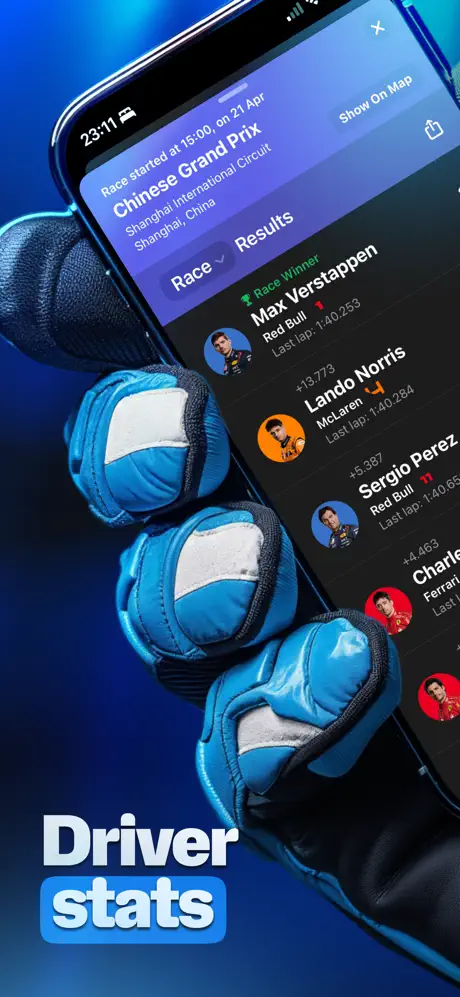 F1 Widgets screenshot 4