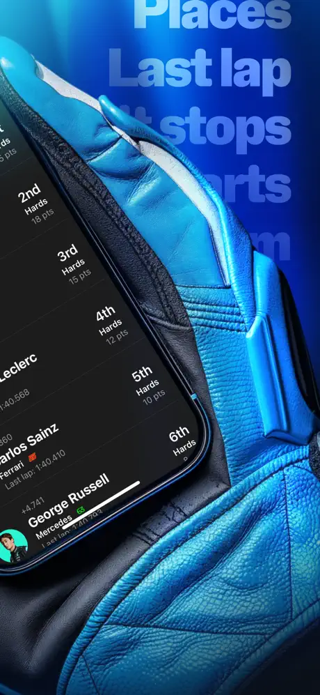 F1 Widgets screenshot 5