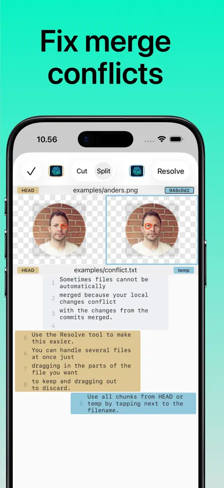 Working Copy screenshot 4