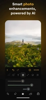 Screenshot 1 of Luminar
