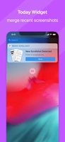 Screenshot 5 of Picsew