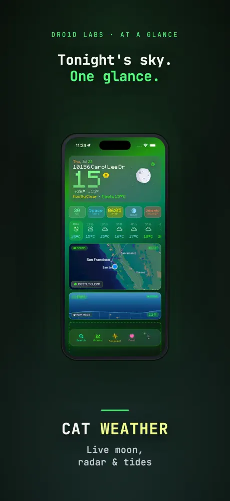 Cat Weather screenshot 2