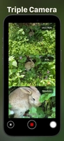 Screenshot 4 of Pro Camera-Omnipotent Camera