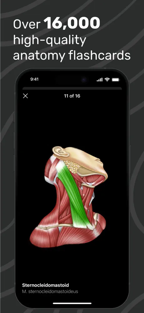 EasyAnatomy3D Public screenshot 5