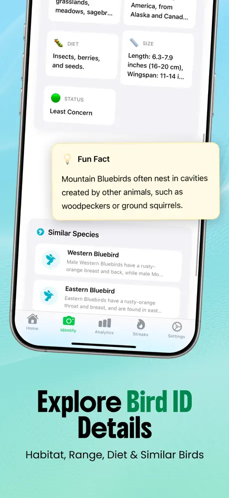 Bird Identifier AI screenshot 4