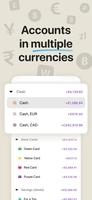 Screenshot 5 of Money Flow