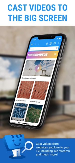 Web Video Cast screenshot 5