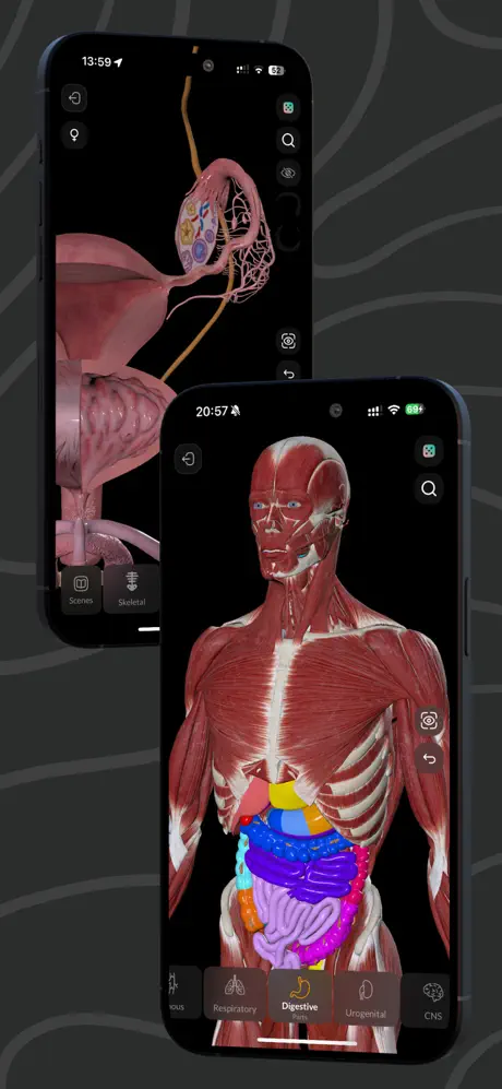 EasyAnatomy3D Public screenshot 4