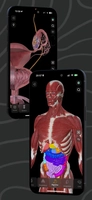 Screenshot 4 of EasyAnatomy3D Public