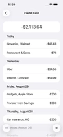 Screenshot 4 of Debit & Credit