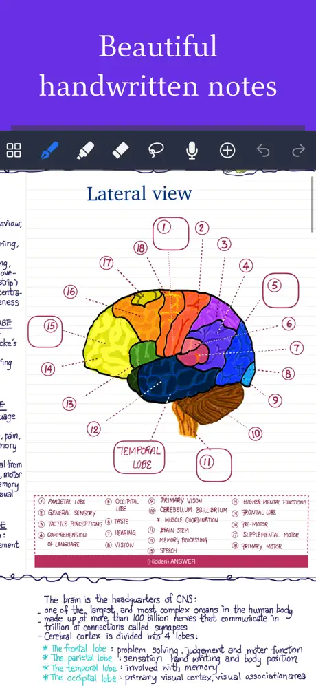 Noteful: Notes & PDF Markup screenshot 1