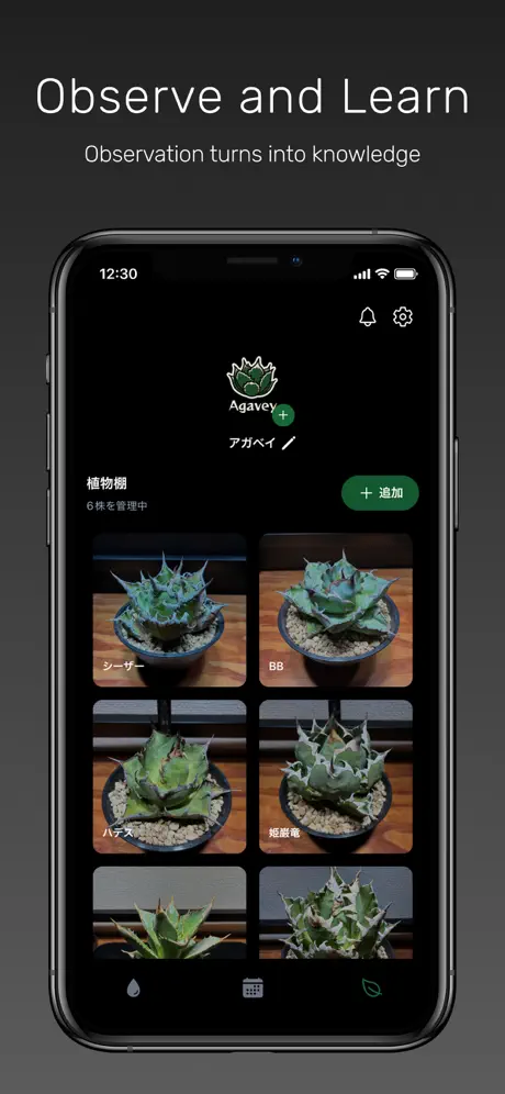 Agavey ✨ screenshot 3