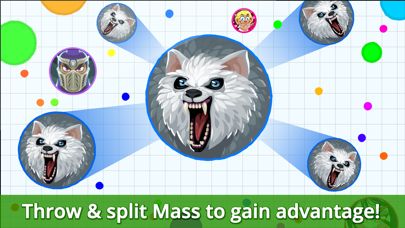 Agar.io Hack screenshot 1