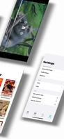 Screenshot 3 of Sora 2 - Streaming App for iOS