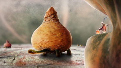 Botanicula screenshot 5