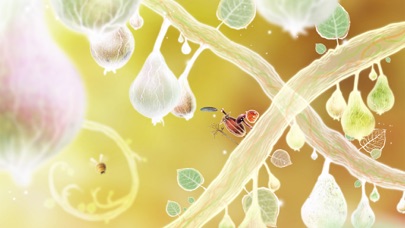 Botanicula screenshot 3