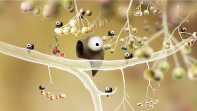 Botanicula screenshot 4