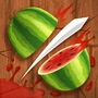 Fruit Ninja Classic icon