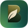 Bitalyze