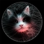 String Art Maker icon