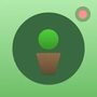 Ginkgo icon