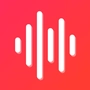 Voyzen icon