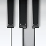 The Piano icon