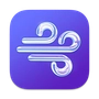 Paku icon