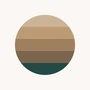 Vintify icon