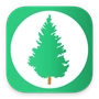 Pine icon