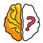 Brain Out icon