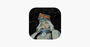 Loop Hero icon